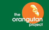 Orangutan Project